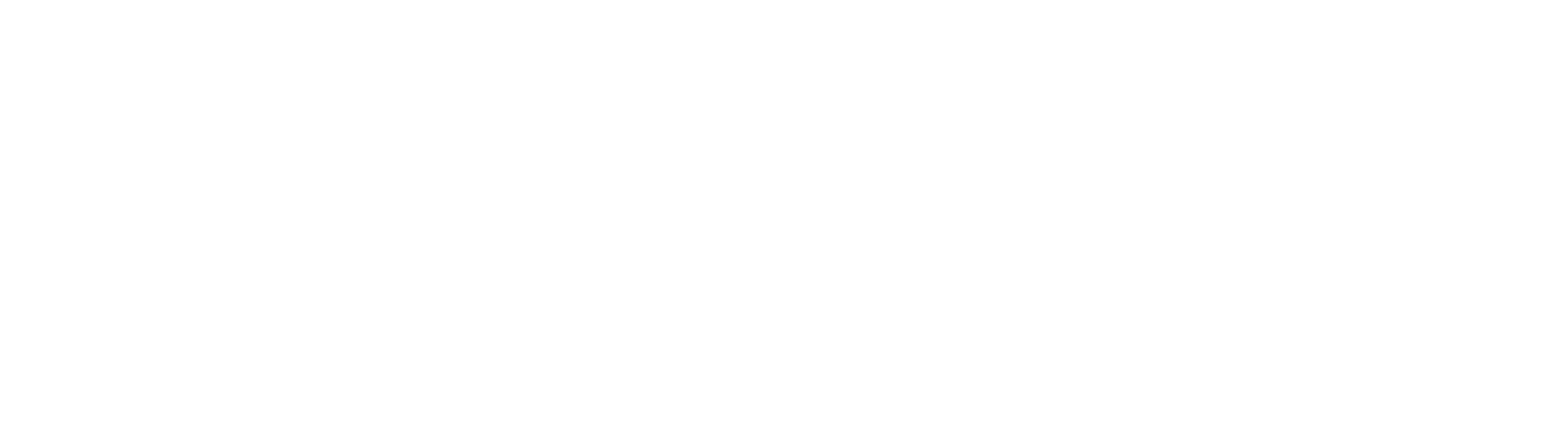 Lucta FFS Logo white